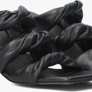 Toral Twisted En Noir en france 10