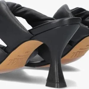 Toral Twisted En Noir en france 12