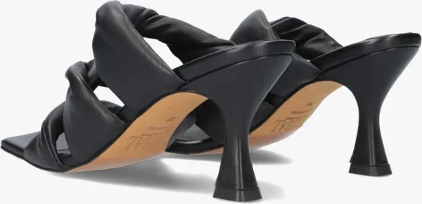 Toral Twisted En Noir en france 4