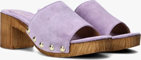 Livraison internationale Notre-v 7341 En Violet 3