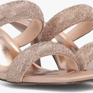 jusqu'à Steve Madden Top-notch En Rose 10