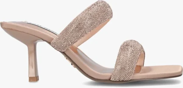 jusqu'à Steve Madden Top-notch En Rose 1