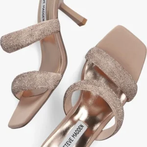 jusqu'à Steve Madden Top-notch En Rose 16