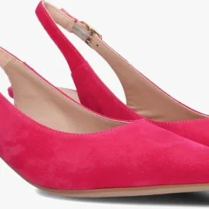 Unisa Jamal En Rose De super promotions disponibles 9