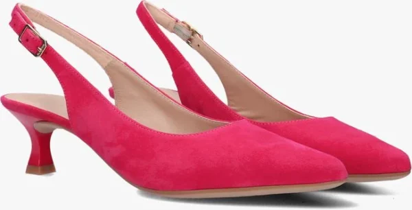 Unisa Jamal En Rose De super promotions disponibles 3