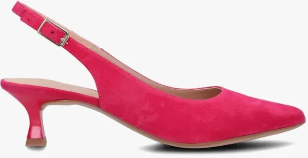 Unisa Jamal En Rose De super promotions disponibles 1
