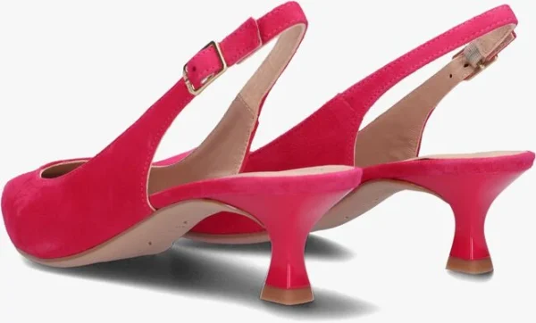 Unisa Jamal En Rose De super promotions disponibles 4