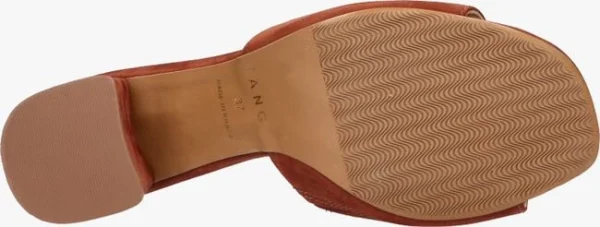 Tango Brooklynn 1 En Cognac Nouvelle Collection 5